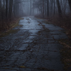 Во Владимирской области чиновника оштрафовали за разбитый мост через Клязьму