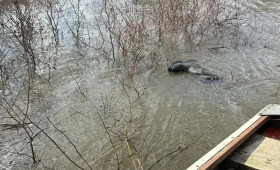Второго пропавшего в Меленковском районе рыбака нашли мертвым