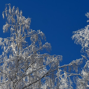 Во Владимирскую область придет сильный снегопад 15 февраля