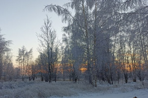 Прогноз погоды во Владимирской области на 10 декабря 2024 года