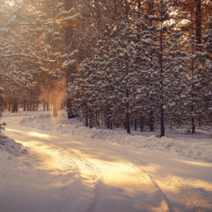 Андрей Зимний: что можно и нельзя делать 13 декабря
