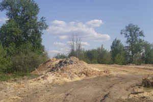 Во Владимирской области у села нашли свалку из опилок площадью 700 квадратов