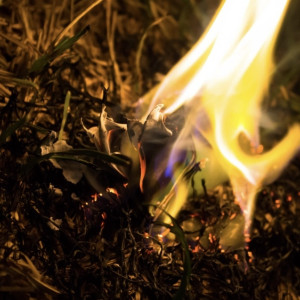 Во Владимирской области с начала года сухая трава загорелась в 30 местах