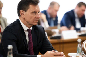 Владимирский депутат выступил за введение статуса «аморальных агентов»