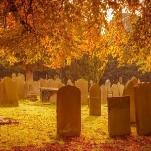 Во Владимире откроют два новых кладбища