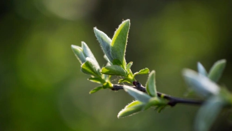 Прогноз погоды во Владимире и области на 13 апреля 2026 года