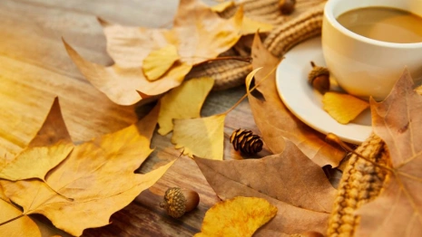 Прогноз погоды во Владимире и области на 15 сентября 2025 года