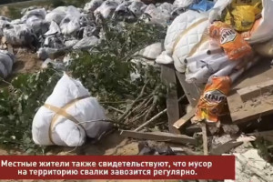 Во Владимирской области нашли стихийную свалку, которую видно из космоса