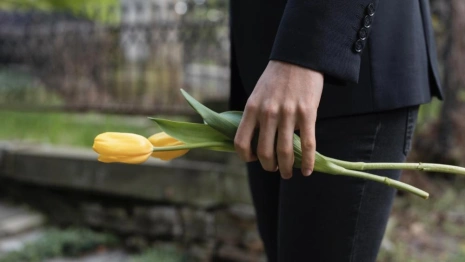 Ритуальщиков из Владимира внесли в «черный список» за взятки сотруднику скорой помощи