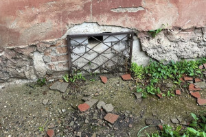 В Александрове коммунальщики замуровали кошку в подвале