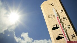 Во Владимирской области последний день июня запомнится 31-градусной жарой