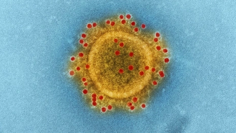 Во Владимирской области заболеваемость ковидом снизилась до 175 случаев