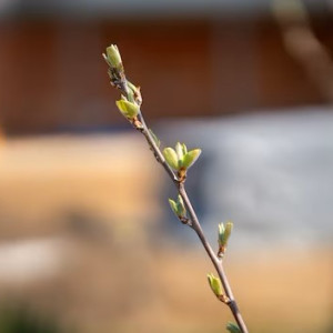 Прогноз погоды на 25 марта 2024 года во Владимире и области