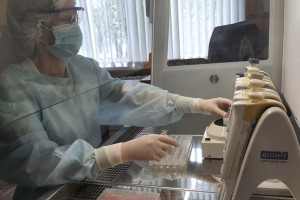 Во Владимирской области с людей сняли 12 зараженных болезнью Лайма клещей