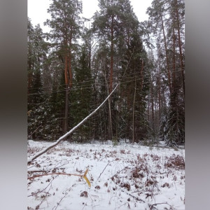 Ледяной дождь обесточил юго-восток Владимирской области