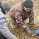 Владимирские поисковики обнаружили останки 13 красноармейцев