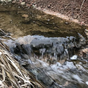 В Муроме в Оку сливали яды с заводов и канализационные воды