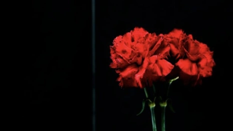 Во Владимирской области открыли две памятные доски в честь погибших бойцов СВО