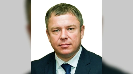 Место погибшего в Индии владимирского миллиардера Антова в Заксобрании займет Дмитрий Рожков