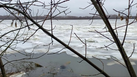 Следком начал проверку из-за утонувшего в Оке в Муроме 28-летнего мужчины