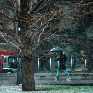 Во Владимирскую область придет резкое потепление