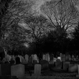 Жители деревни во Владимирской области выступили против размещения кладбища на болоте