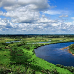 Во Владимирской области на новые мусорки и очистку вод потратят 131 млн рублей