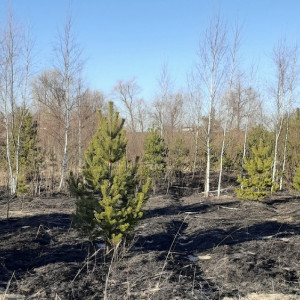 Около озера в Ковровском районе потушили еще один пал травы