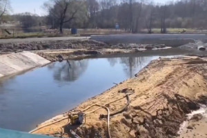 Во Владимирской области ради спасения рыбы начнут расчистку реки Колпи