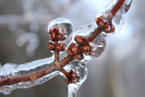 Владимирских водителей предупредили о ледяном дожде 