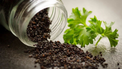 Во Владимирской области продавали семена 350 выдуманных сортов помидоров и абрикосов