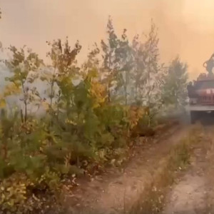 Во Владимирской области заявили об угрозе лесных пожаров со стороны Иваново и Нижнего Новгорода