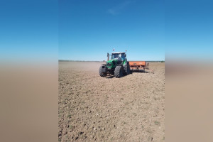 Во Владимирской области дожди затормозили посевную кампанию