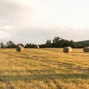 Стали известны призеры конкурса «Самая красивая деревня Владимирской области»