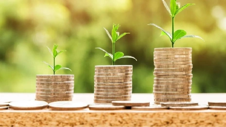 Возраст получения детских выплат во Владимирской области подняли до 23 лет