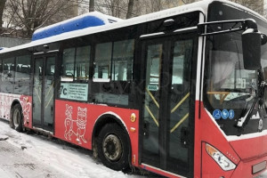Во Владимире начали распродавать новые автобусы за 2,5 млн рублей