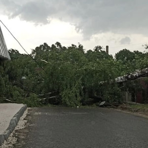 Во Владимирской области 96 электриков отправились устранять последствия урагана