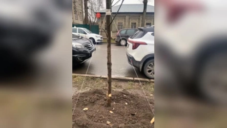 Во Владимире вандалы омрачили новогоднюю атмосферу