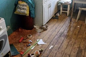 В Кольчугино горе-родители оставили младенце в комнате с тараканами и голодными собаками