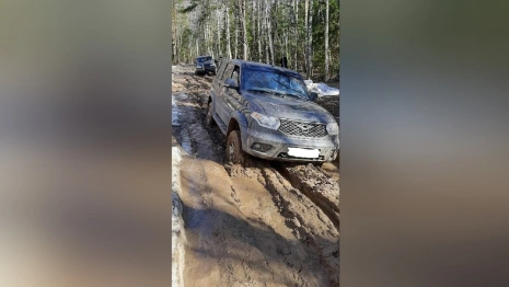 Жители владимирской деревни остались без дороги из-за строительства М-12