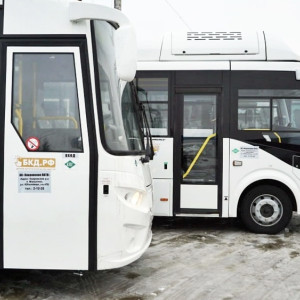 За год во Владимирскую область приехали 140 новых автобусов