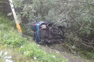 В Ковровском районе иномарка влетела в дерево: пострадала женщина