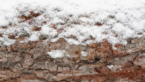 Прогноз погоды во Владимире и области на 8 марта