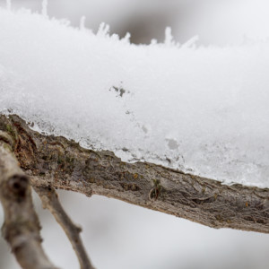 Прогноз погоды на 14 марта 2024 года во Владимире и области