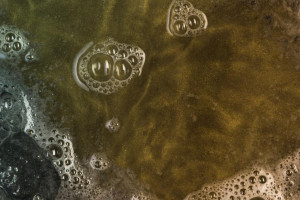 Жительница Юрьев-Польского попала под следствие за загрязнение водоема сточными водами