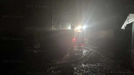 В деревне под Собинкой пожар унес жизнь 72-летнего мужчины