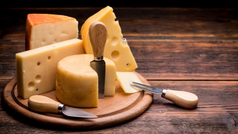 Жители Владимирской области съели тысячу тонн сыра за год