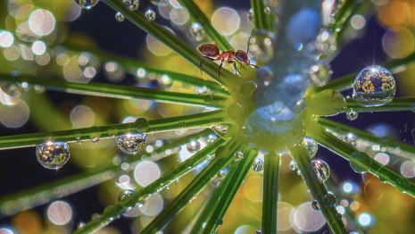 Владимирец победил на международном фотоконкурсе