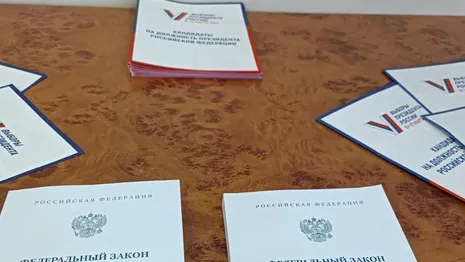 Во Владимире на выборах дистанционно проголосовали 68 тыс. человек