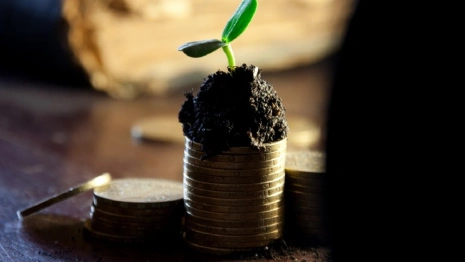 Во Владимирской области средняя зарплата взлетела до 43 тысяч рублей